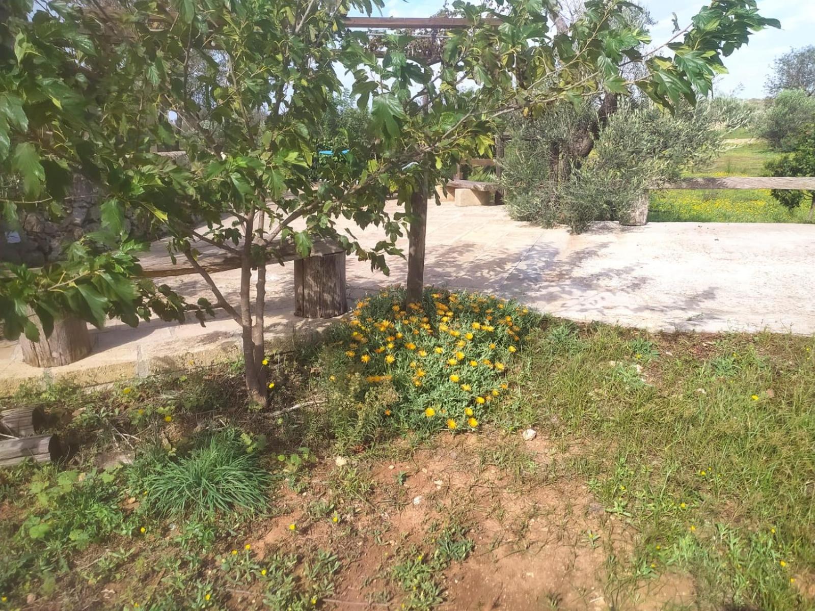 Trullo Contrada Stracca Guest House Alliste Exterior photo